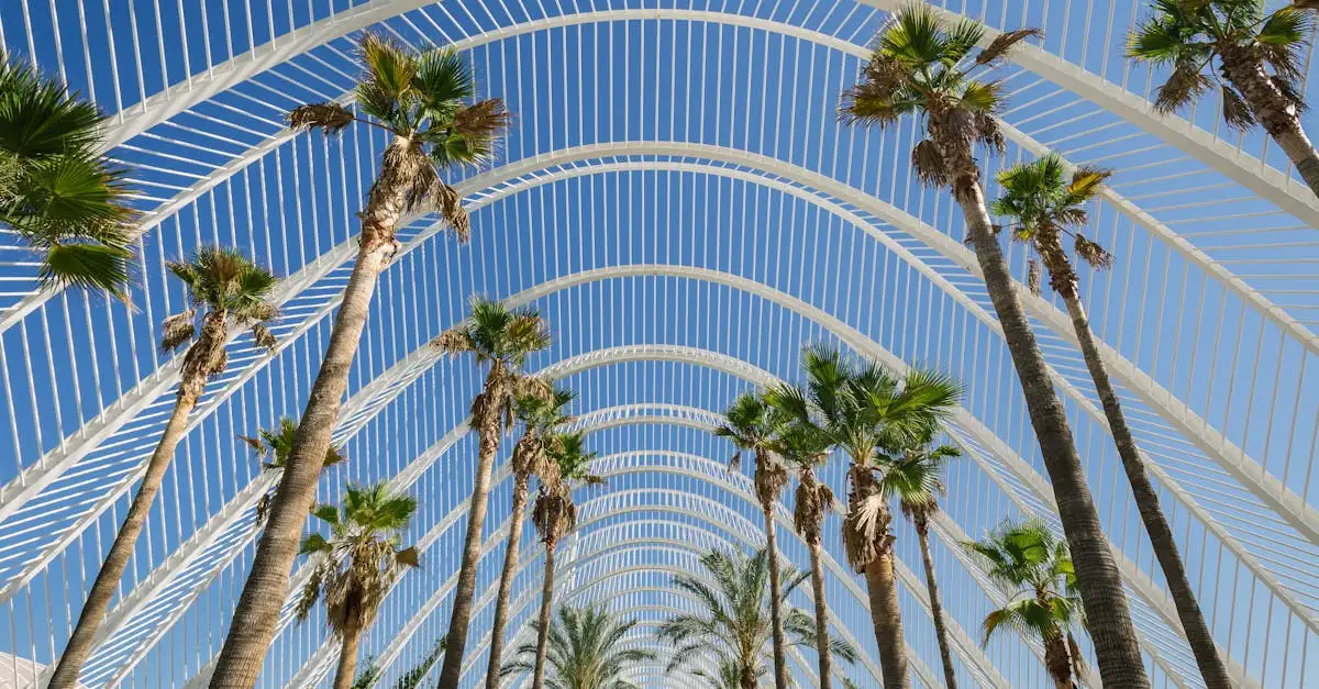 Duurzame vakantie Spanje: Ontdek eco-vriendelijke reizen