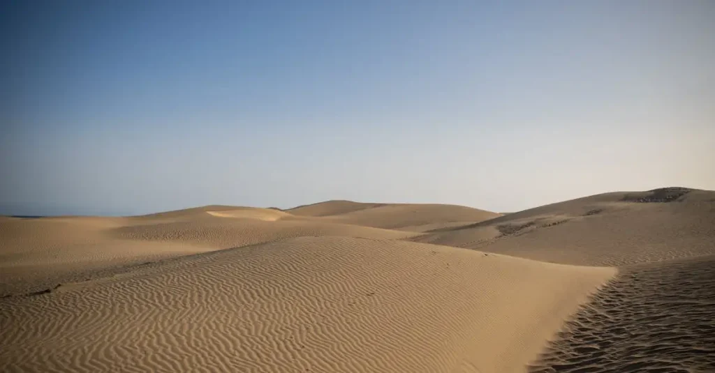 Gran Canaria Vakantie: Tips & Aanbiedingen voor Spanje