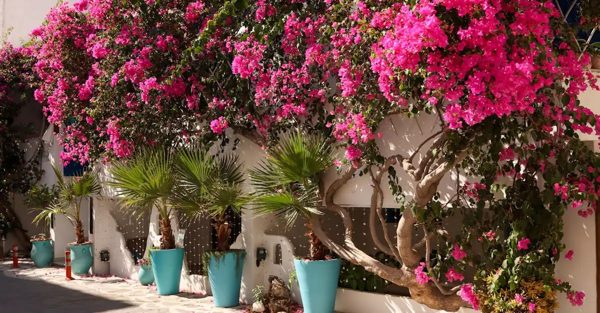 Griekenland vakantie: goedkoper alternatief voor Spanje?