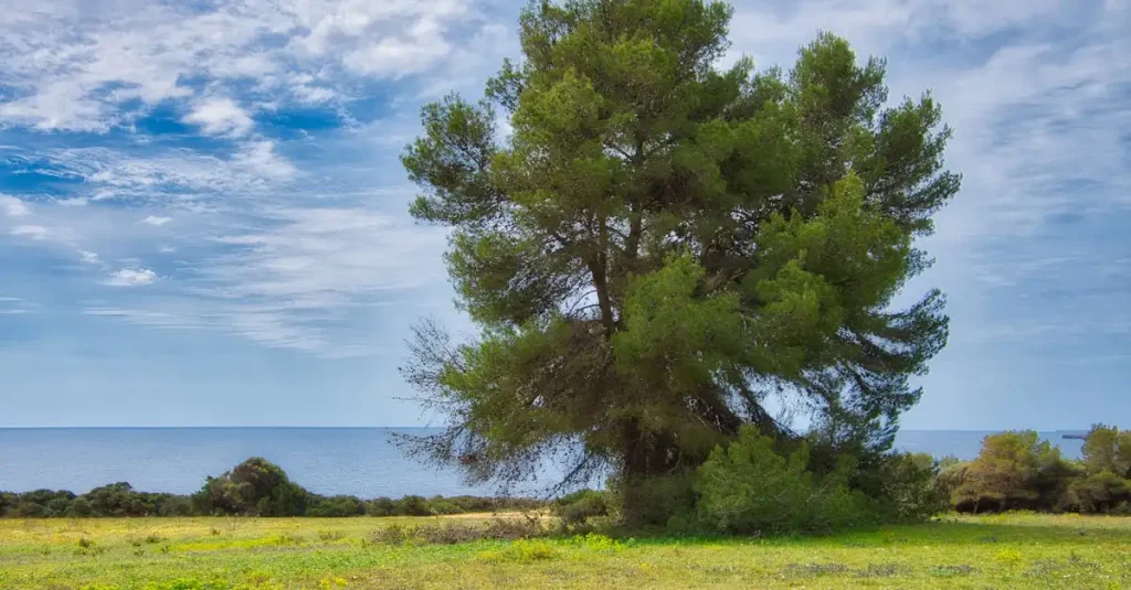 Vakantie alleen Zuid-Spanje: Ontdek jouw ideale reis!