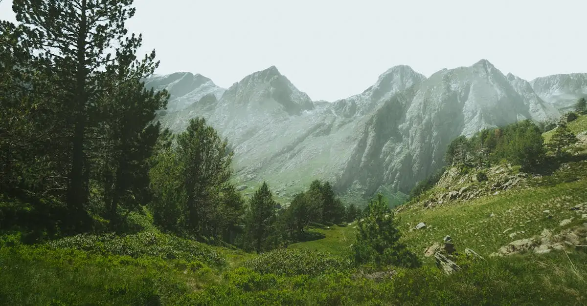Vakantie Pyrenee&euml;n Spanje: Tips & Mooiste Plekken
