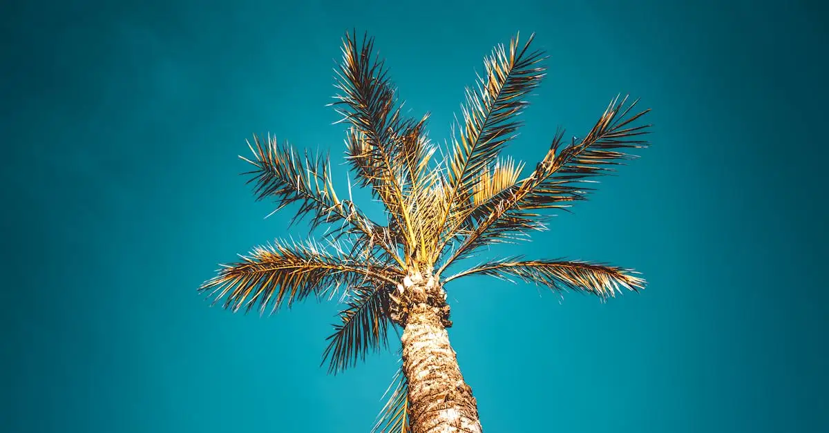 Vakantie Salou Spanje: Alles voor jouw perfecte reis!