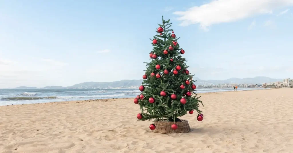 Vakantie Spanje in december: Zonzeker genieten!