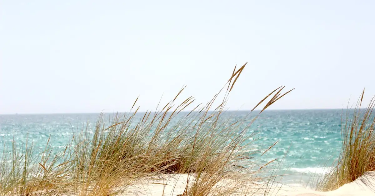 Vakantie Tarifa Spanje: Tips & Aanbiedingen voor jouw reis
