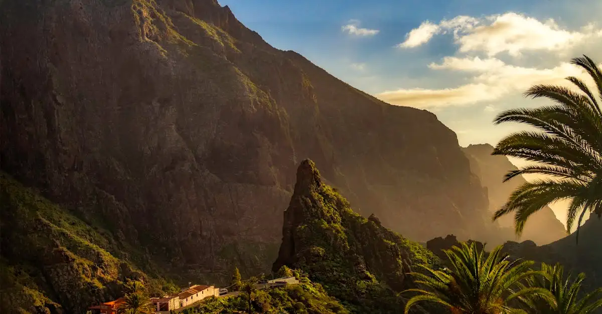 Vakantie Tenerife Spanje: Zon, zee & avontuur!