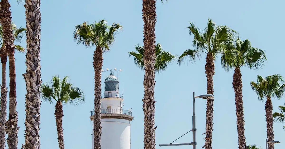 Vakantie Zuid-Spanje: Ontdek de mooiste reizen & aanbiedingen